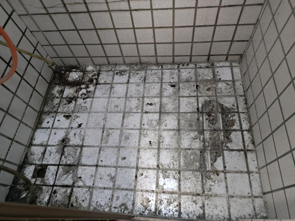 搬家清潔案件圖片