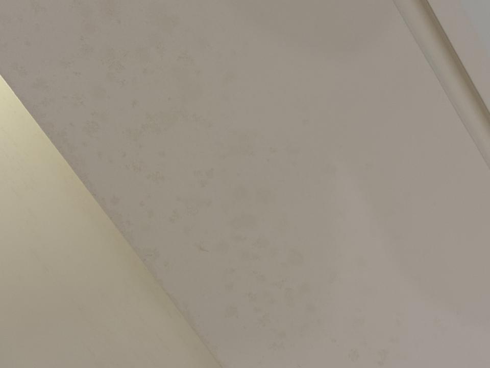 除霉案件圖片 除霉案件圖片