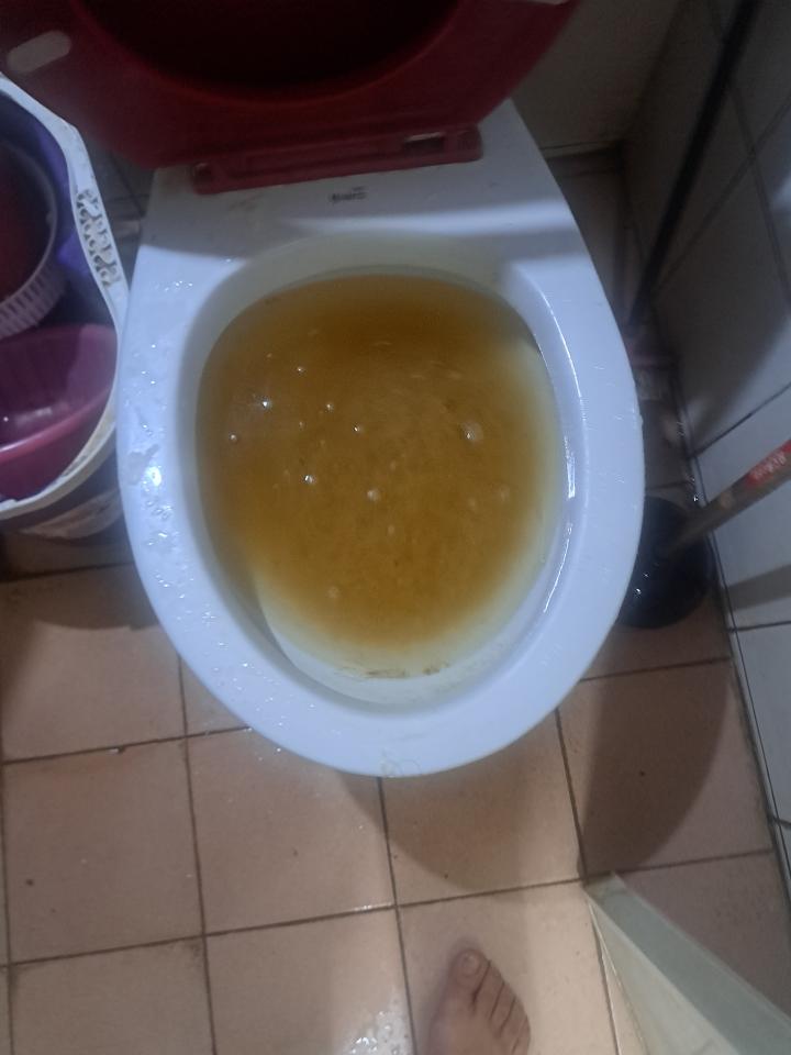 通馬桶案件圖片
