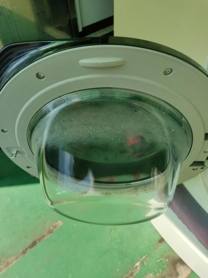 洗衣機清洗案件圖片