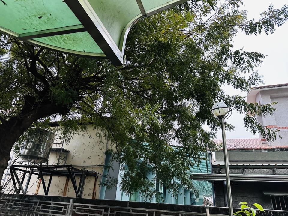 園藝維護案件圖片