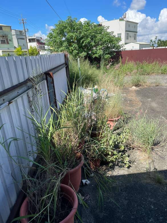 園藝維護案件圖片 園藝維護案件圖片