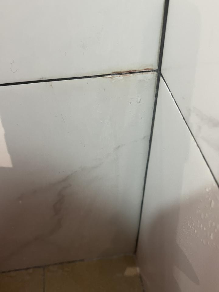 抓漏案件圖片