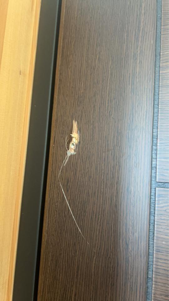 門片維修案件圖片