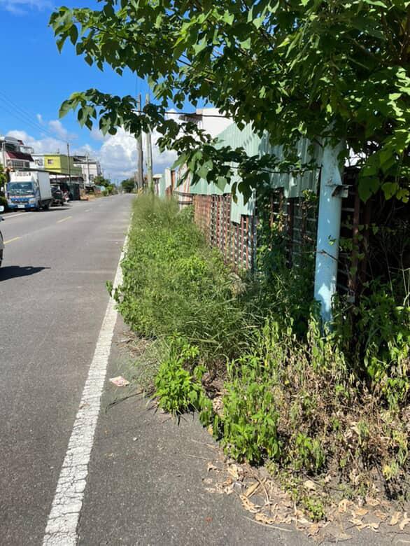 園藝維護案件圖片 園藝維護案件圖片