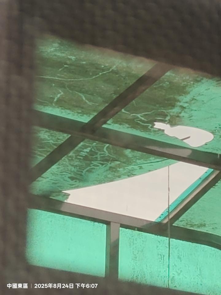 採光罩案件圖片