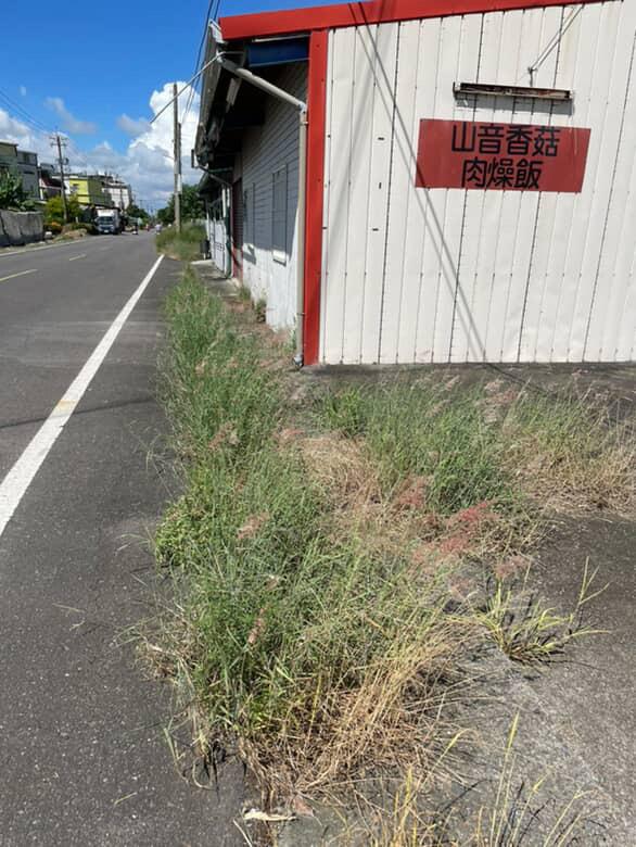 園藝維護案件圖片 園藝維護案件圖片