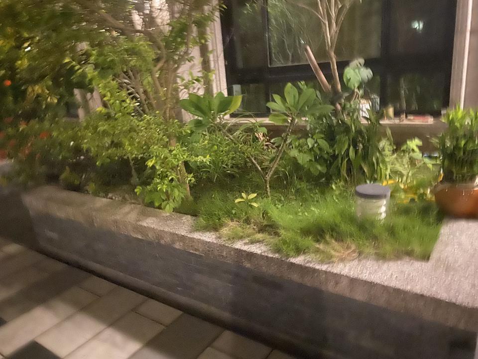 園藝設計案件圖片