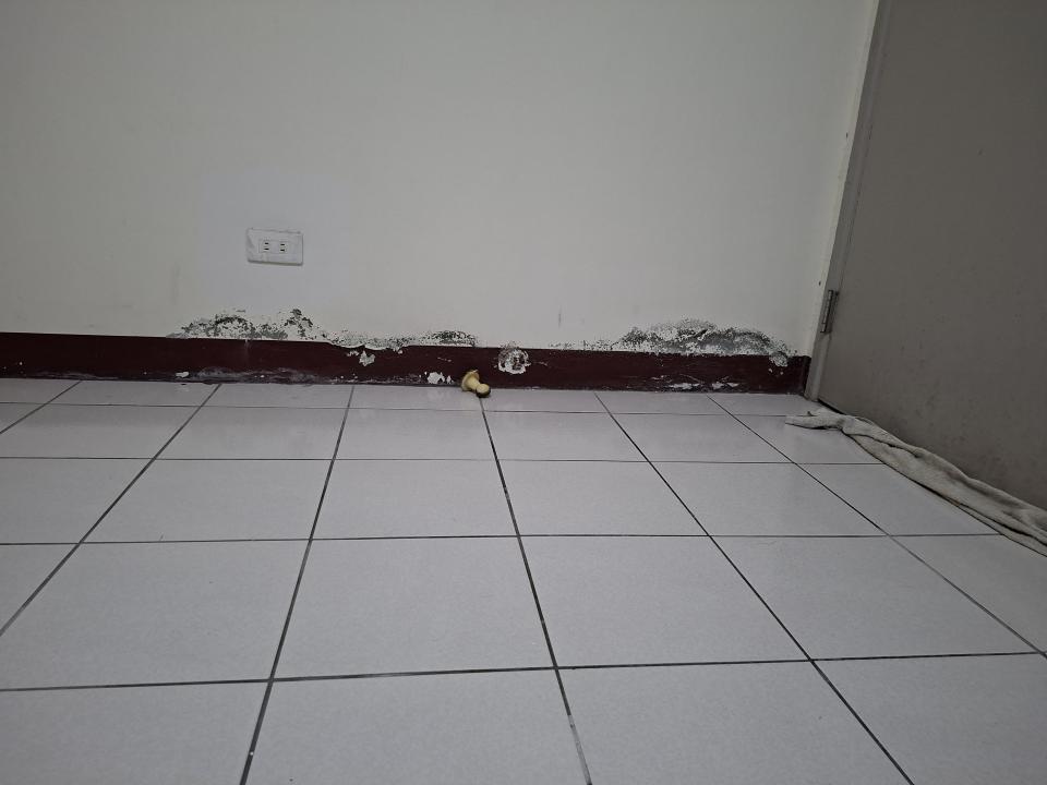 壁癌處理案件圖片 壁癌處理案件圖片