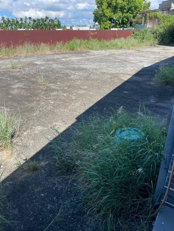 園藝維護案件圖片 園藝維護案件圖片