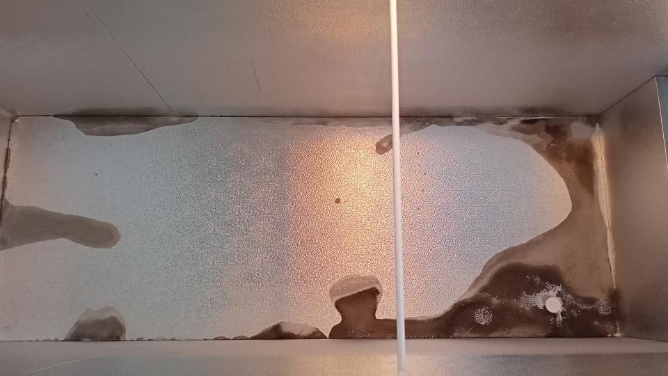 除霉案件圖片