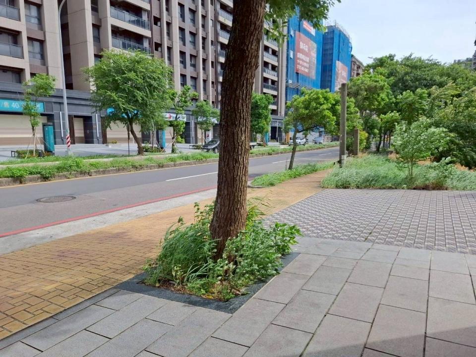 園藝維護案件圖片