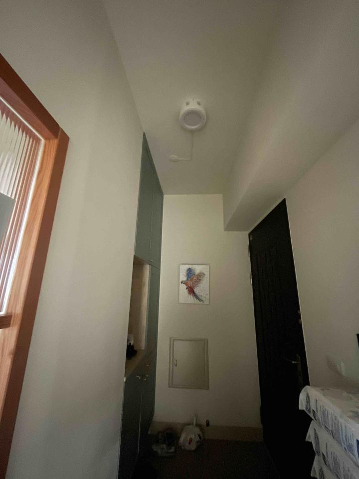 燈具安裝案件圖片