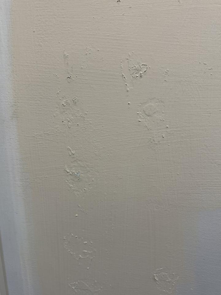 油漆工程案件圖片 油漆工程案件圖片