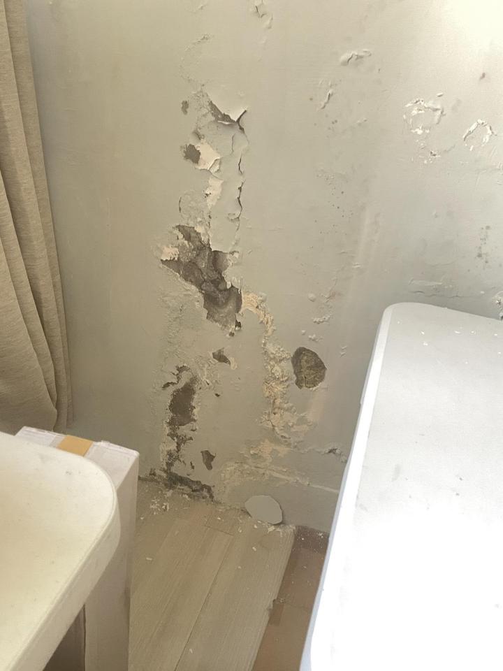 壁癌處理案件圖片