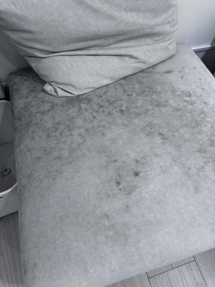除霉案件圖片 除霉案件圖片