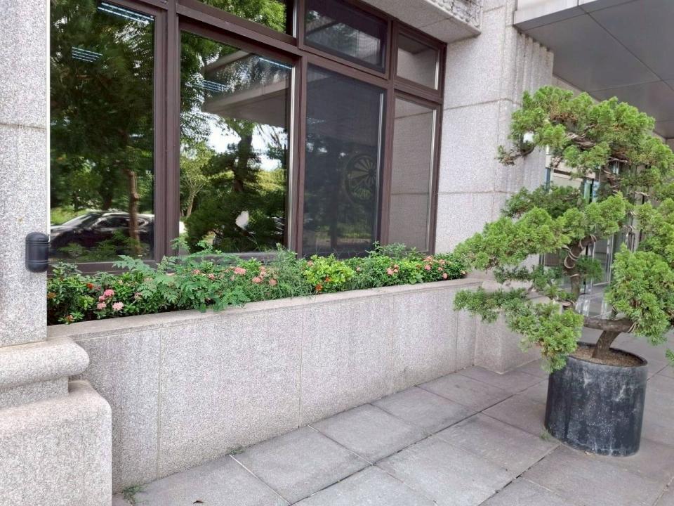 園藝維護案件圖片