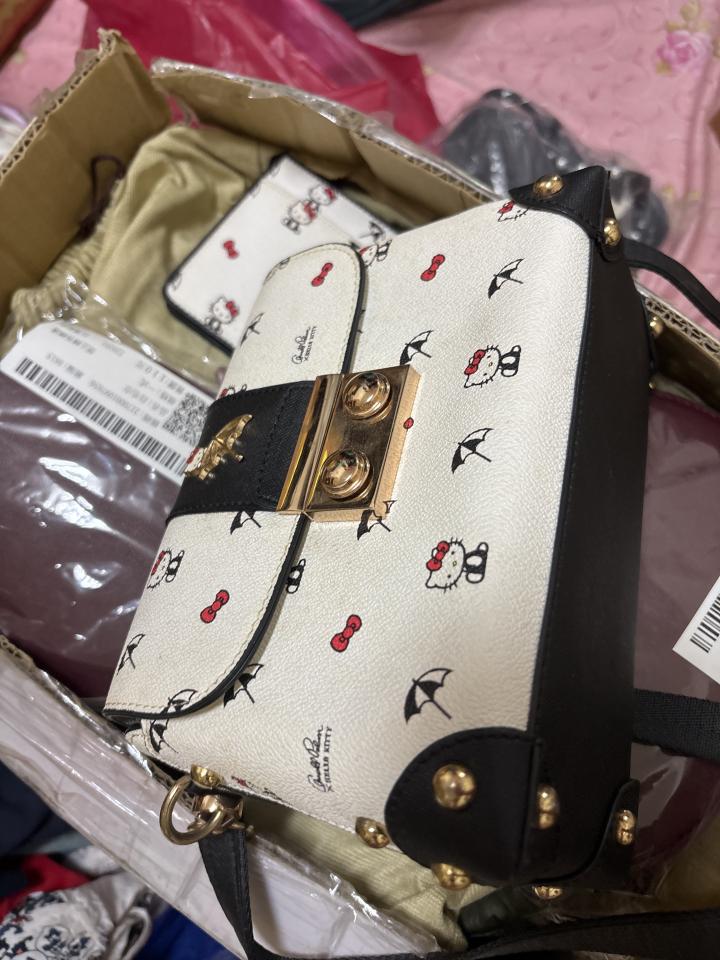 洗包包案件圖片