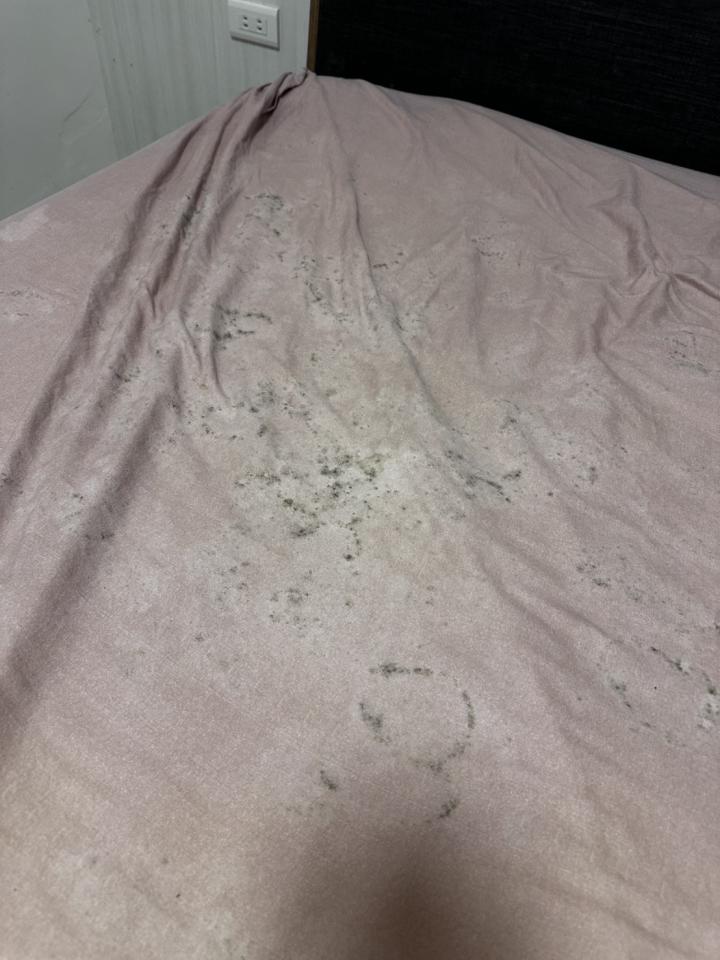 除霉案件圖片 除霉案件圖片