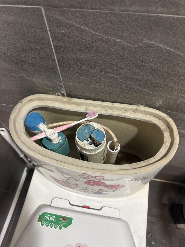 馬桶裝修案件圖片