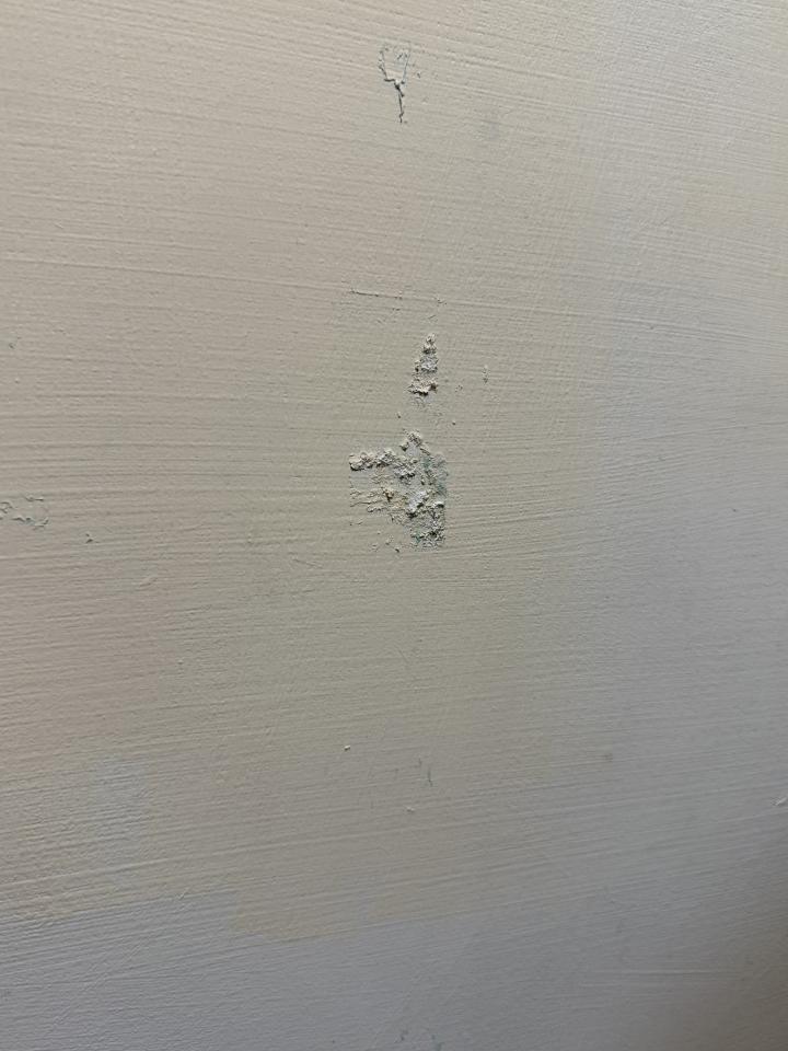 油漆工程案件圖片 油漆工程案件圖片