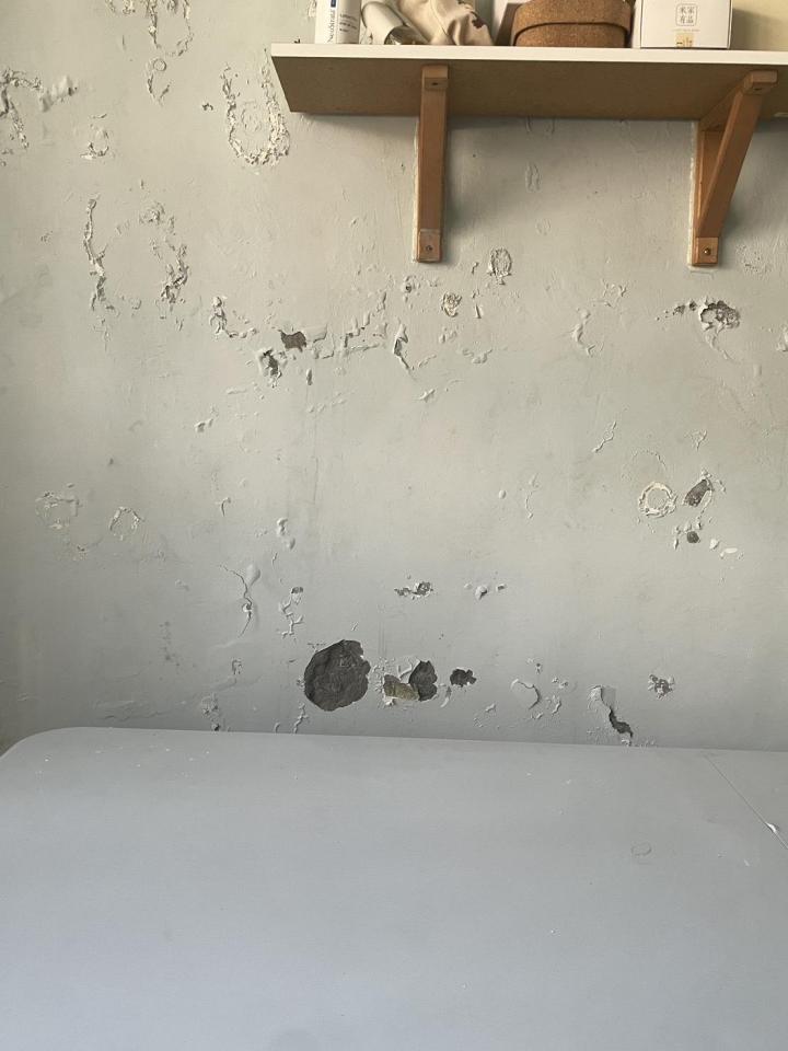 壁癌處理案件圖片