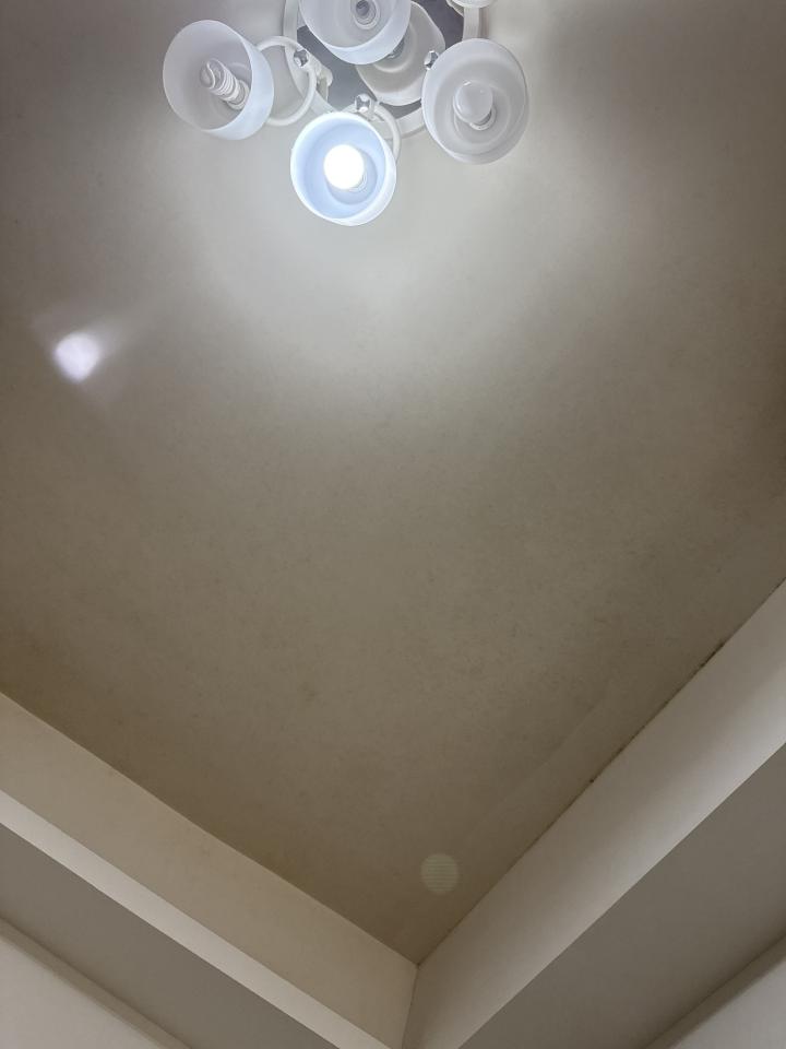 除霉案件圖片