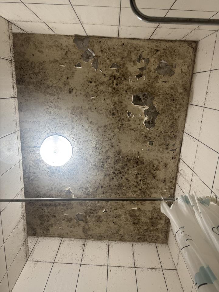浴室除霉清潔案件圖片