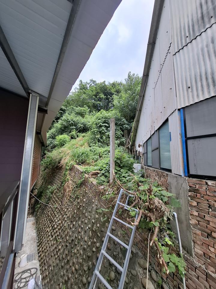 園藝維護案件圖片