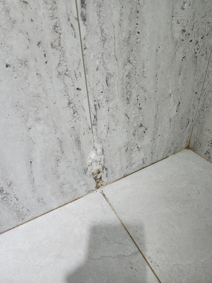 壁癌處理案件圖片 壁癌處理案件圖片