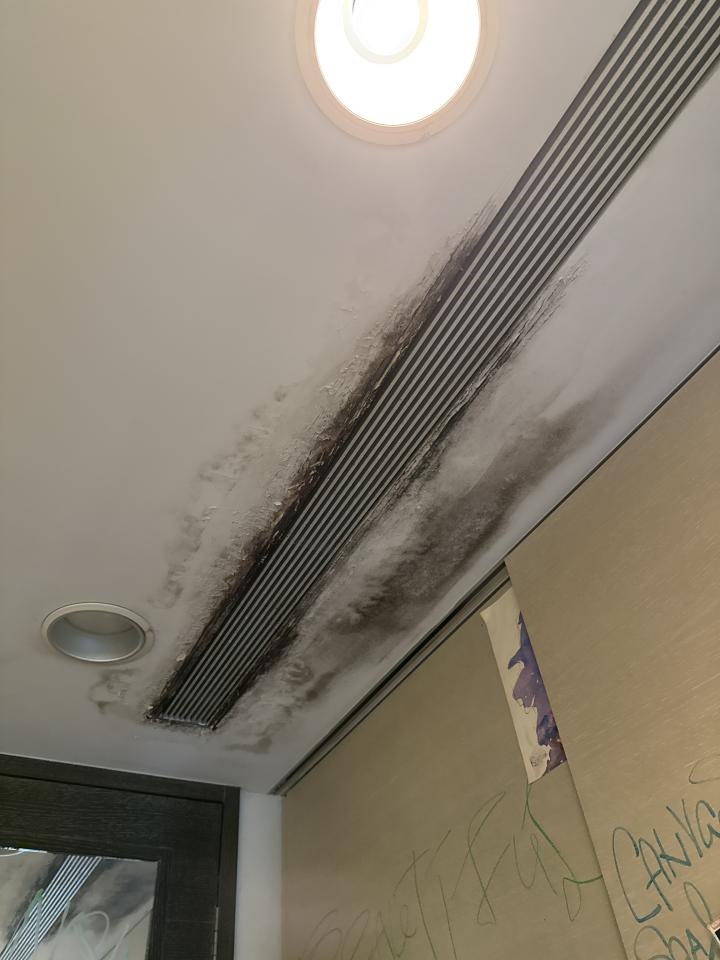 天花板設計案件圖片