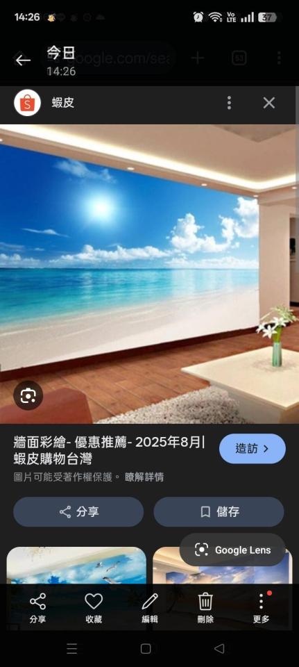 壁畫彩繪案件圖片