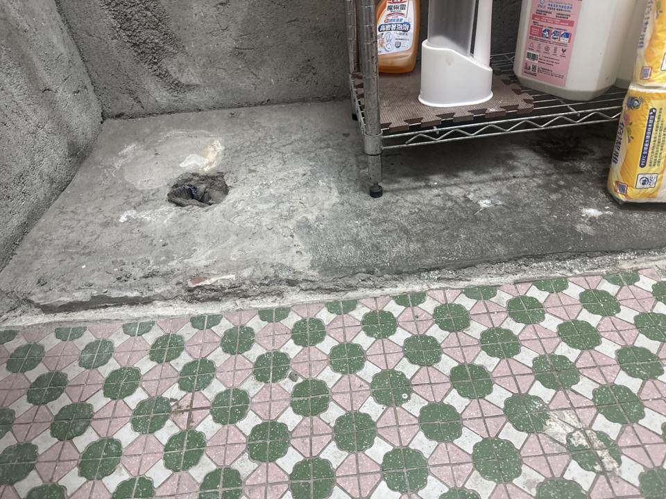 泥作/水泥施工案件圖片
