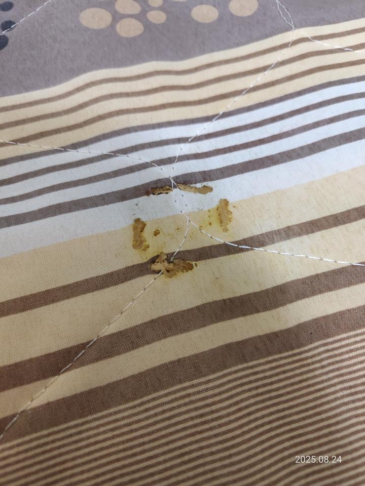 床墊維修案件圖片