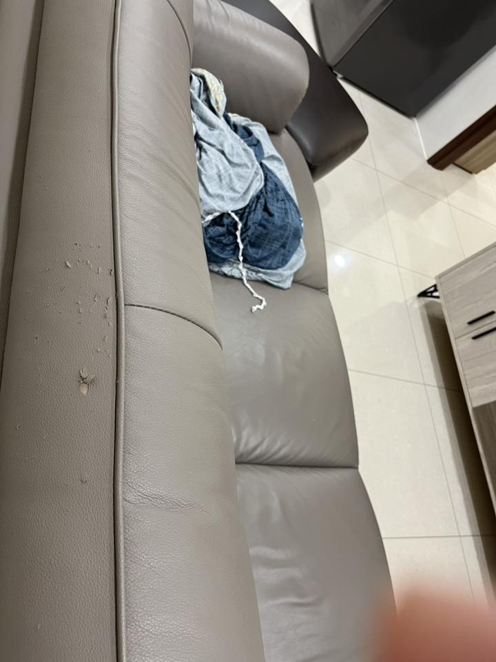 沙發修理案件圖片