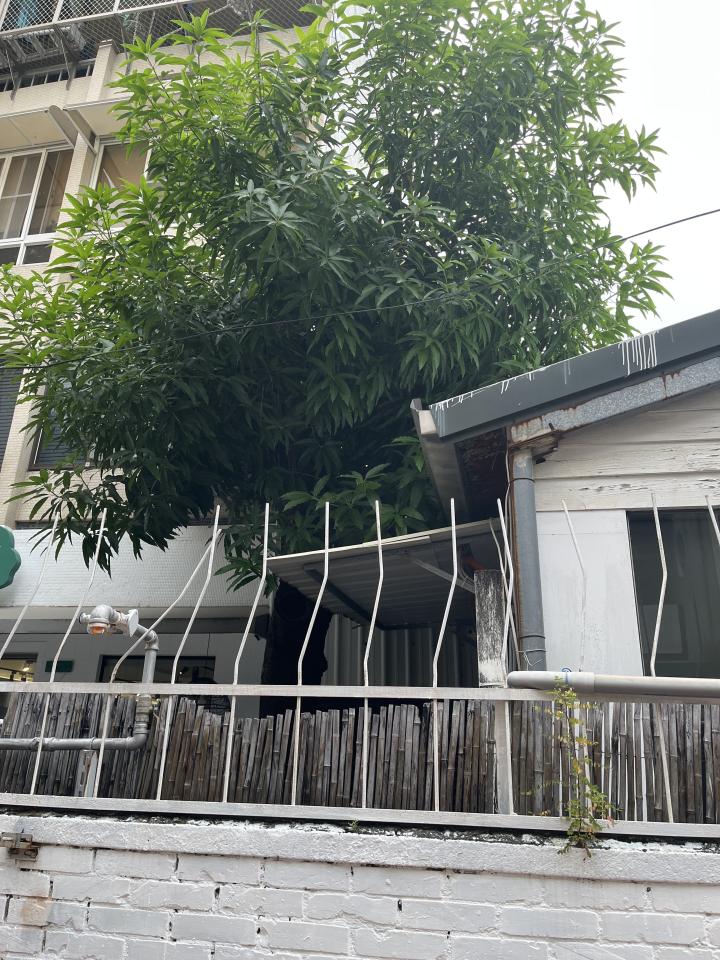 園藝維護案件圖片