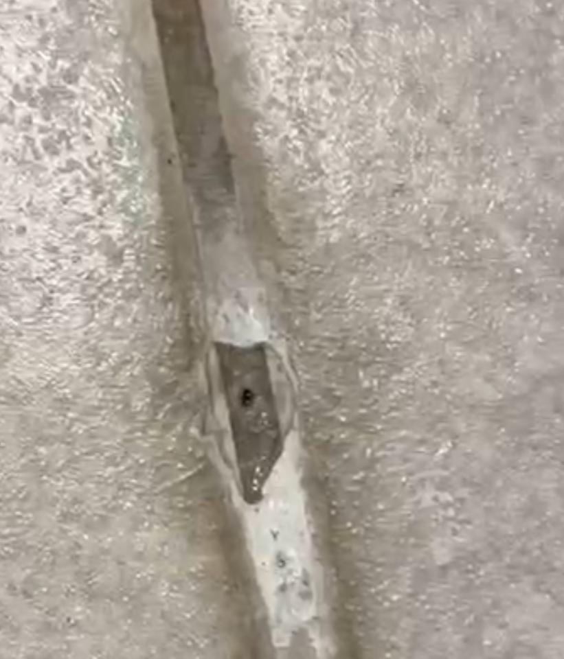 漏水處理案件圖片 漏水處理案件圖片