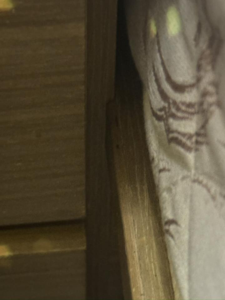 拆除工程案件圖片 拆除工程案件圖片