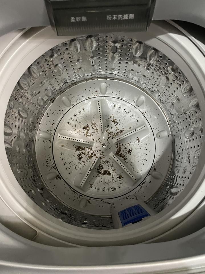 洗衣機清洗案件圖片 洗衣機清洗案件圖片