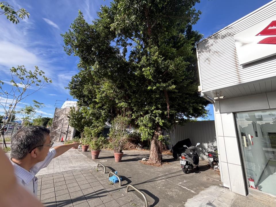 園藝維護案件圖片 園藝維護案件圖片