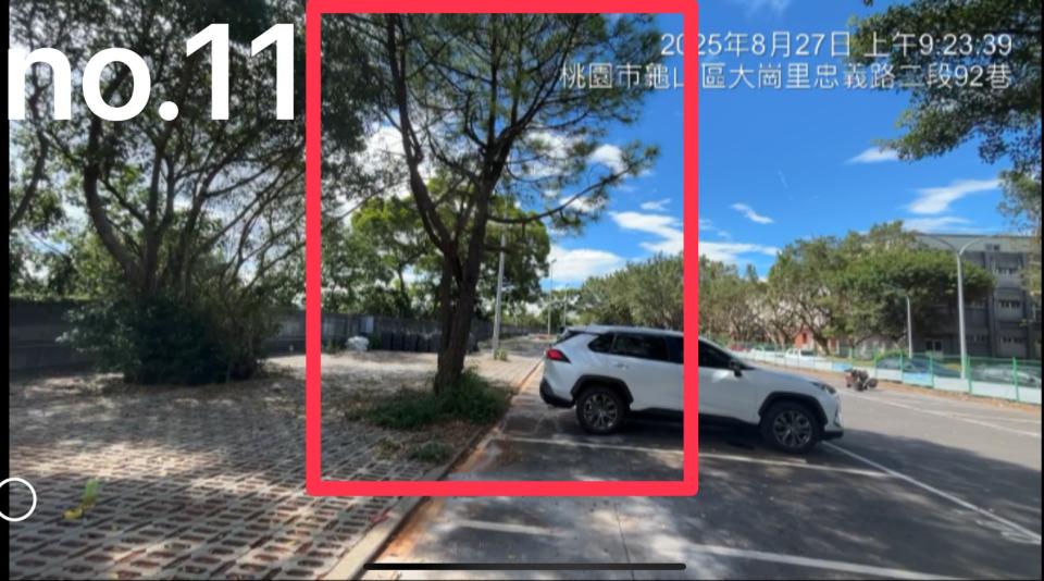 園藝維護案件圖片