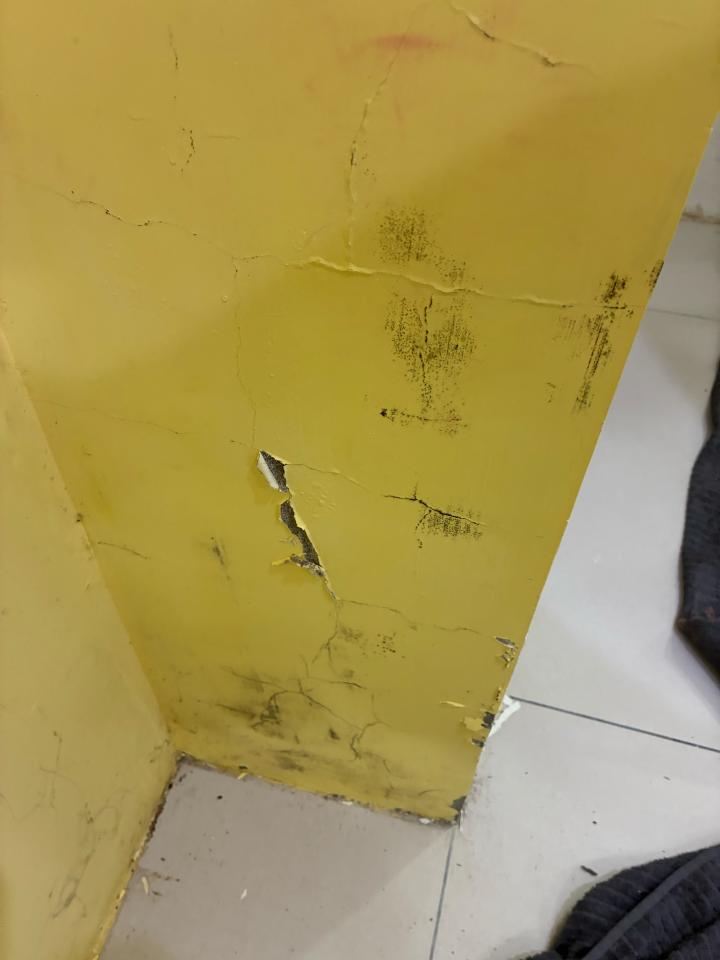 油漆工程案件圖片
