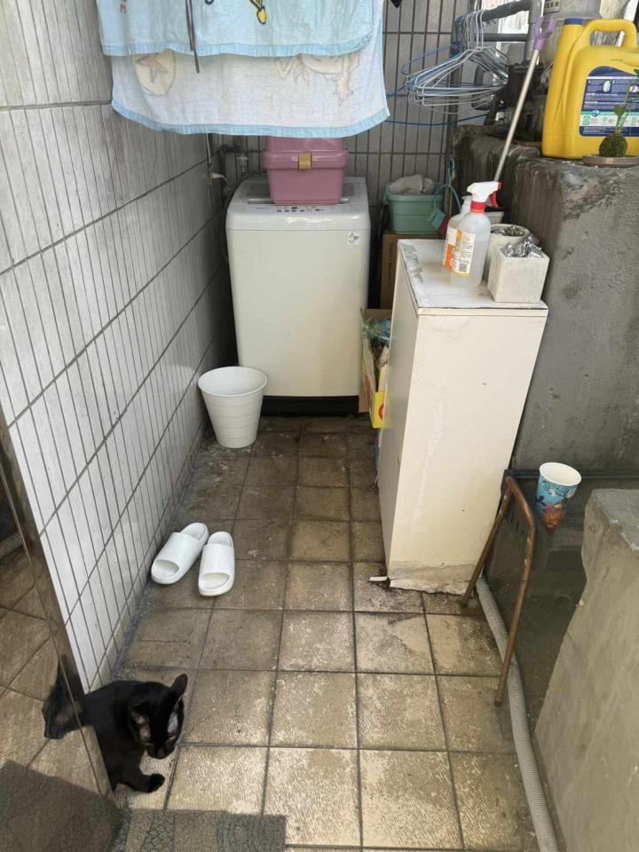 抓漏案件圖片