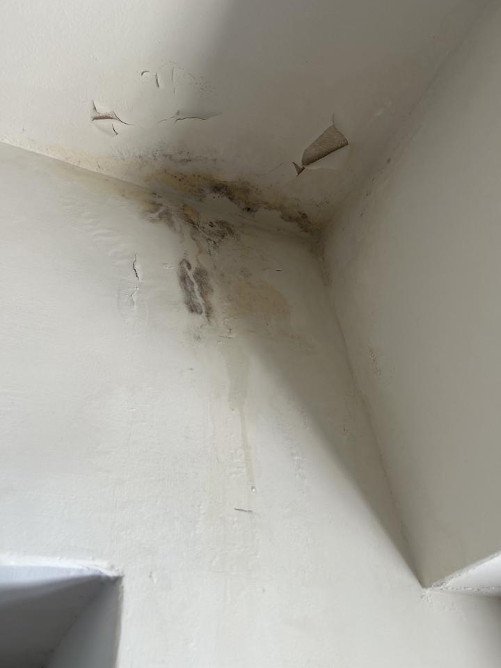抓漏案件圖片