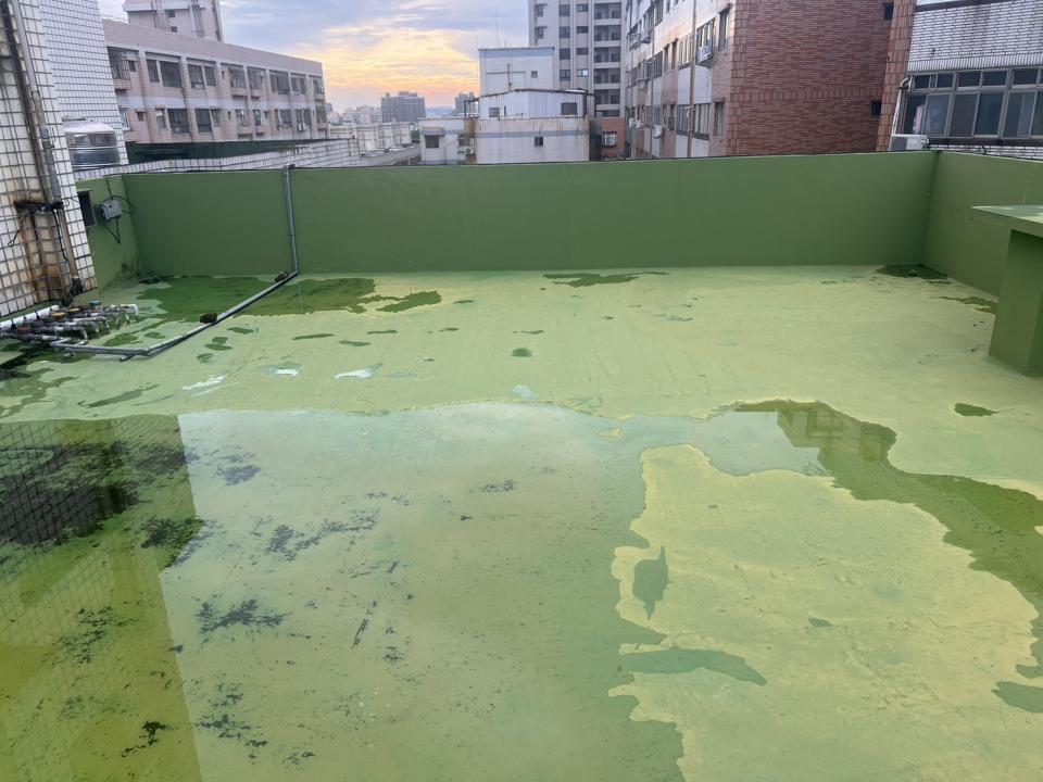 屋頂防水案件圖片