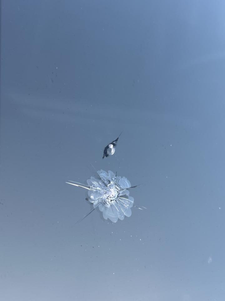 汽車玻璃修補案件圖片