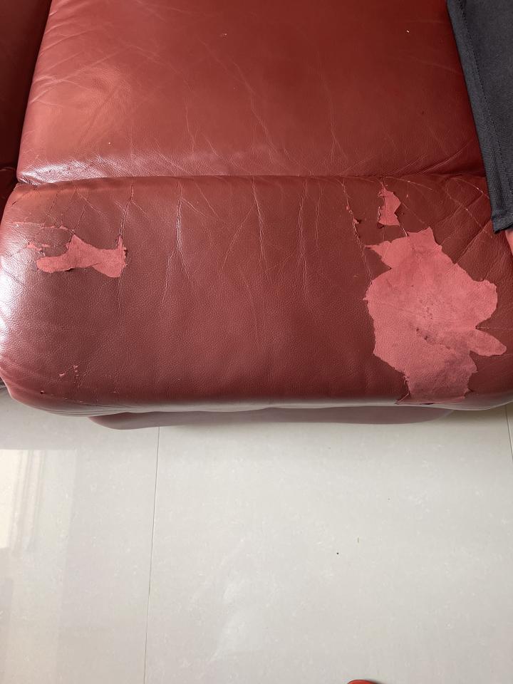 沙發修理案件圖片