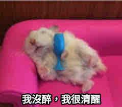 提供雕刻印章服務的專家ChengPin