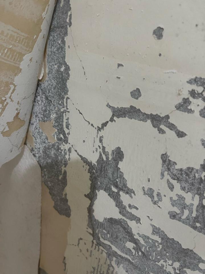 壁紙清除案件圖片 壁紙清除案件圖片