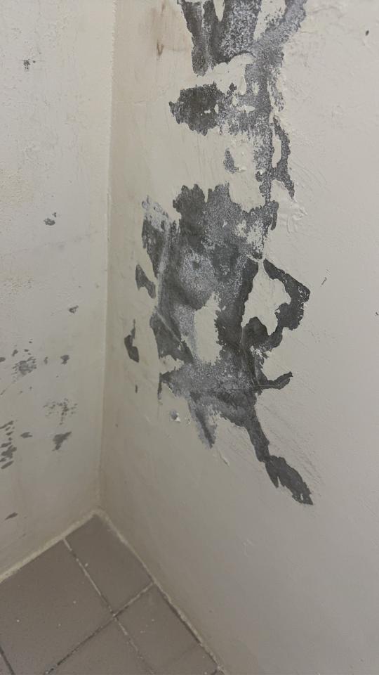 漏水處理案件圖片